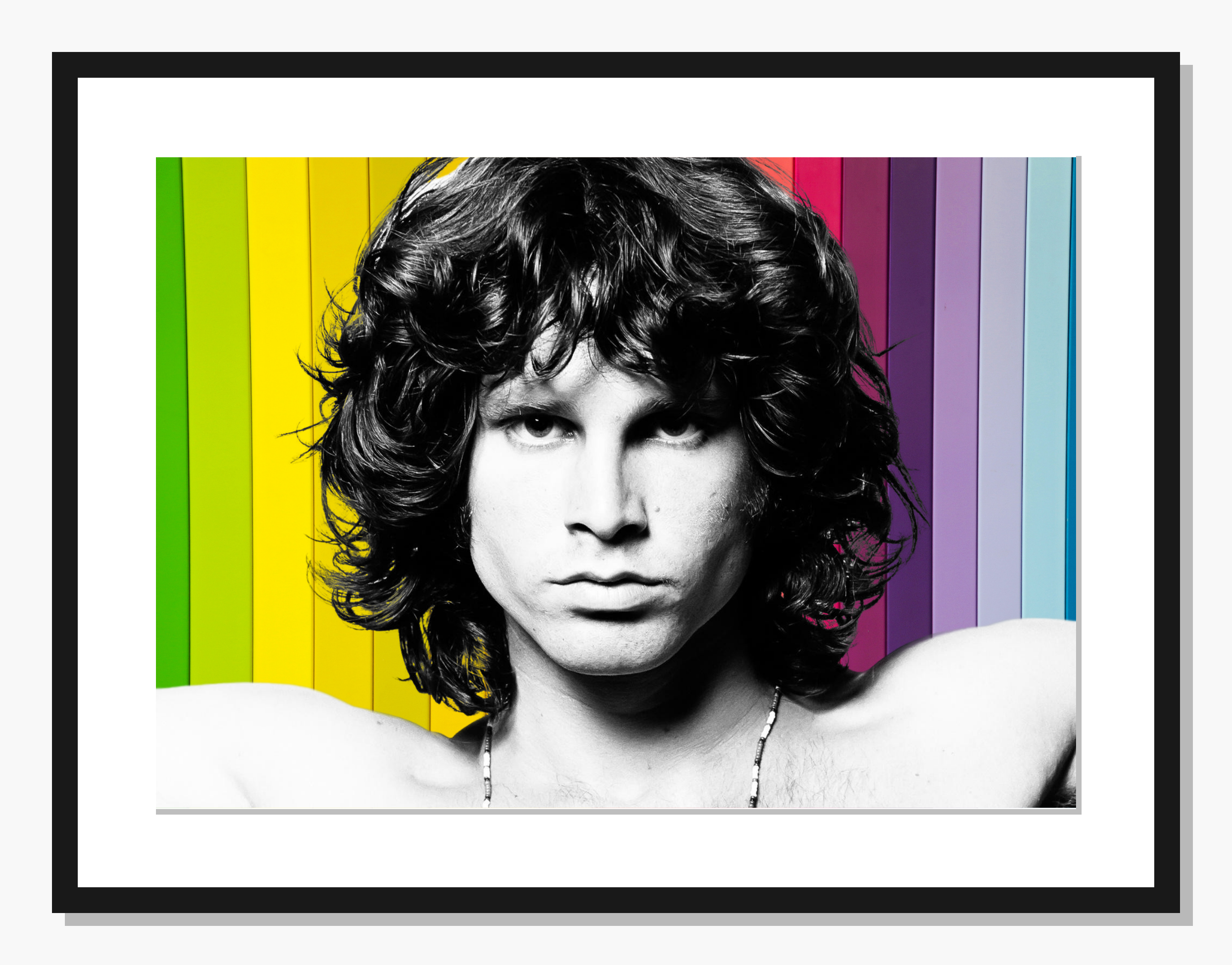 monochrome Icon wall art: Rainbow Lizard King