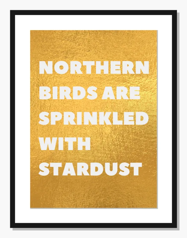 Stardust Northern Birds